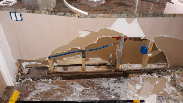 Best Flooded house restoration  in Inwood, FL